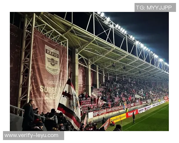 黑豹足球俱乐部：激情与荣耀的绿茵传奇之路探索与未来展望