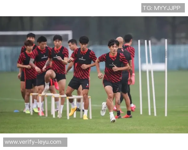 雷文杰在足球场上的精彩表现与未来发展潜力分析